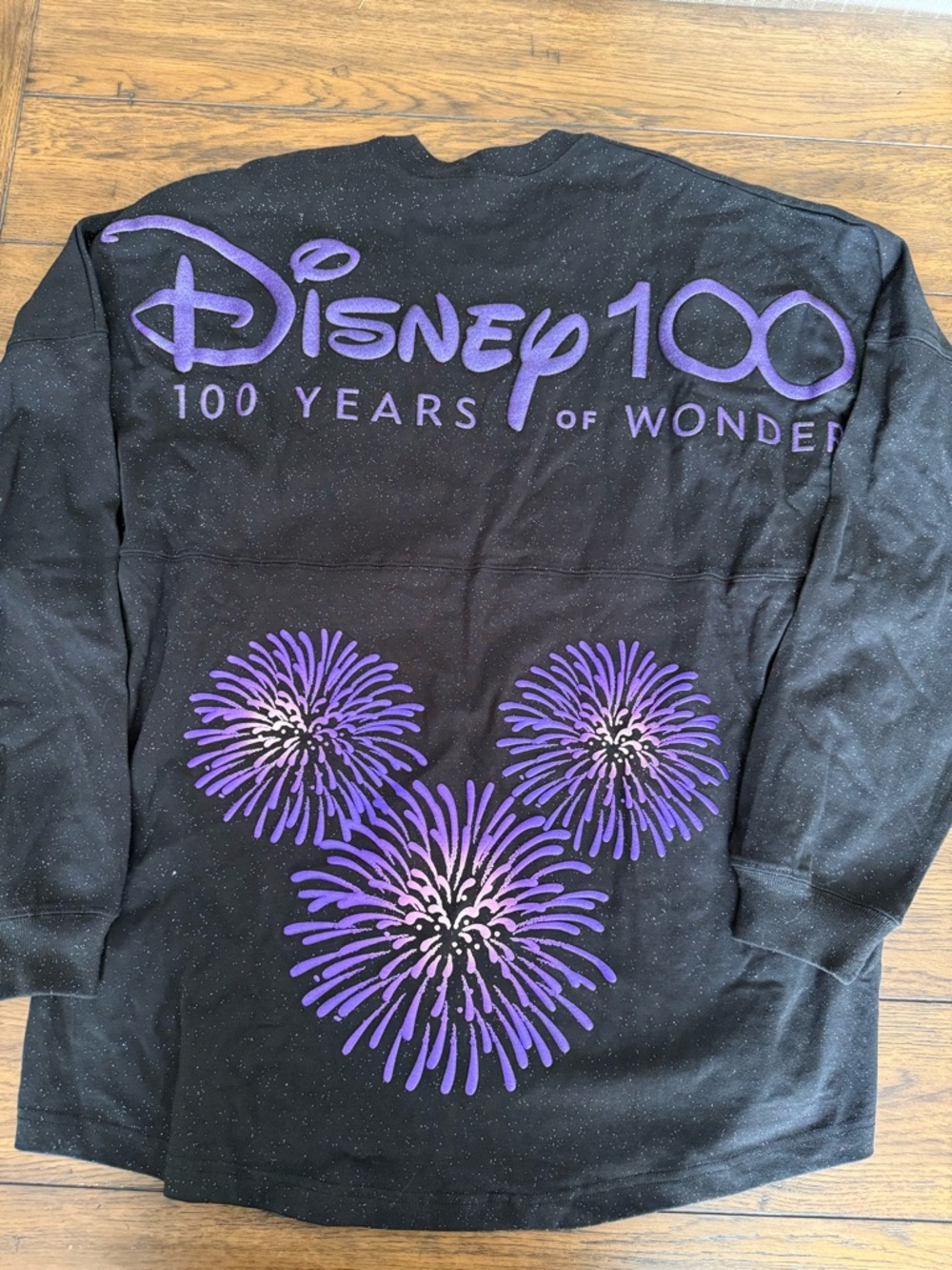 Disney 100th year Anniversary spirit jersey